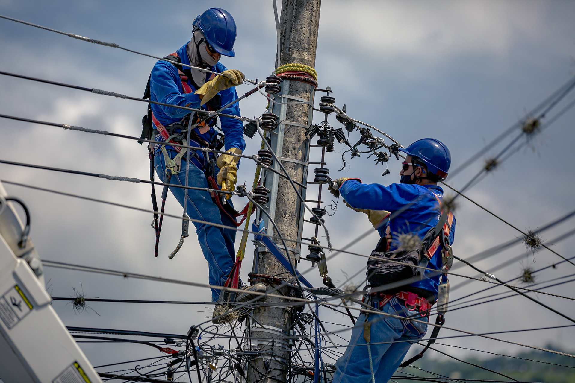 Imagen de personal sobre redes ESSA Imagen de personal sobre redes ESSA